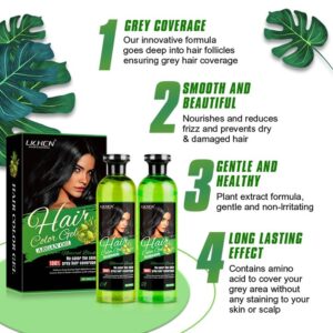Lichen Professional Hair Color Gel – 500ML – Rich, Long-Lasting Black & Dark Brown Shades – Made in China